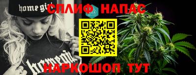 крисы Новокубанск