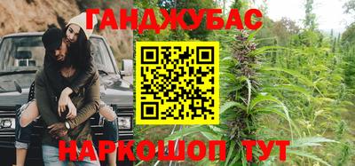 крисы Новокубанск