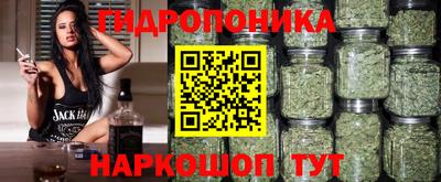 MDMA Новодвинск