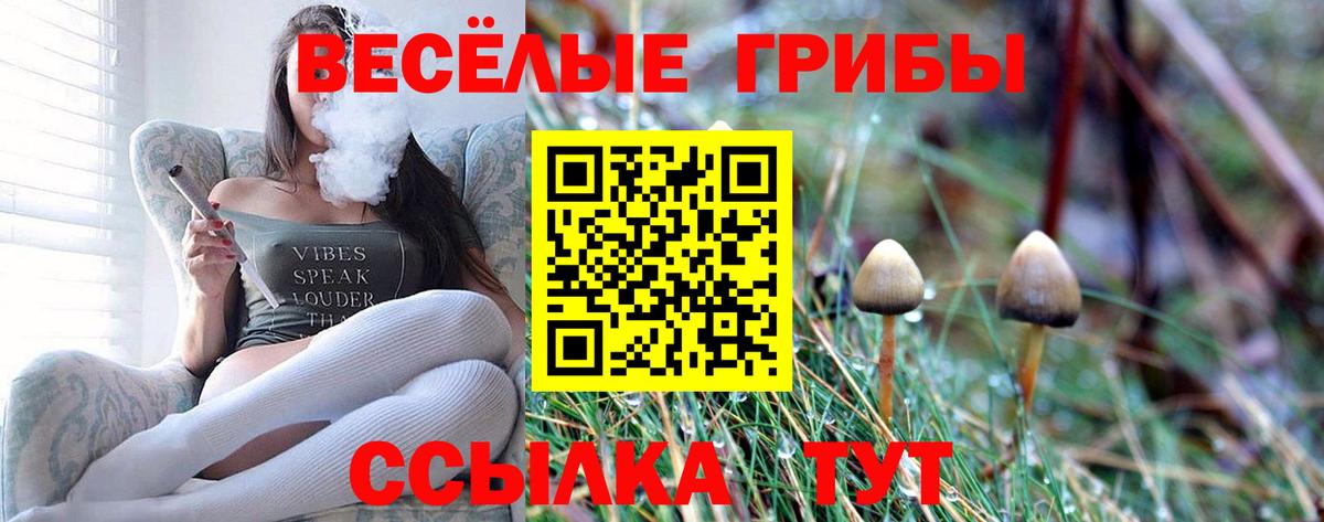 Ангарск  Псилоцибиновые грибы Psilocybine cubensis  Вход с VPN 
